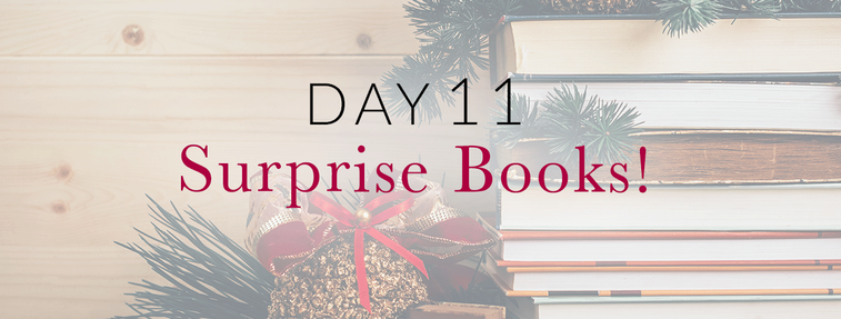 day_11_surprise_books