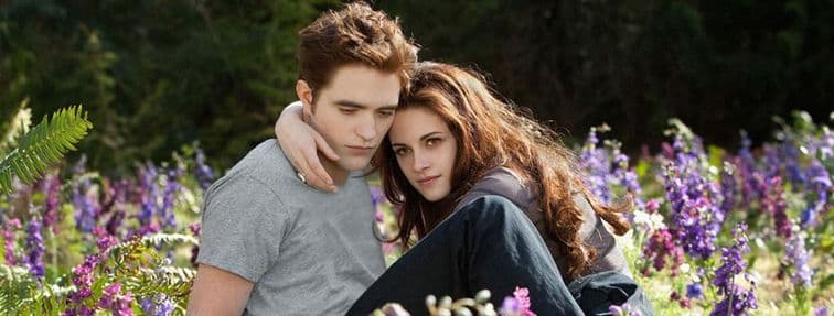 15 Heart-Pounding Books Like Twilight