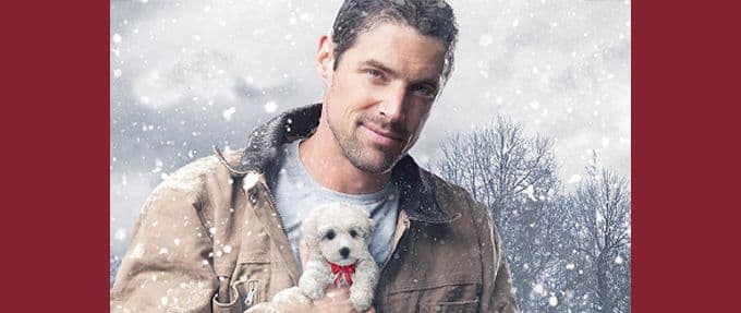 just a little christmas, a romance novel featuring dogs