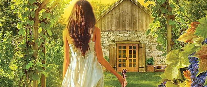 bluestone and vine, a small town romance novel by donna kauffman
